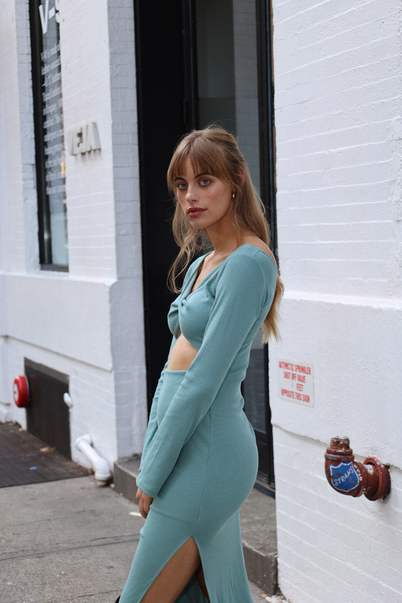 Rose Long Dress